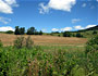 Delaware County