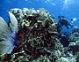 Roatan