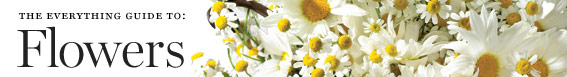 The Everything Guide to Flowers