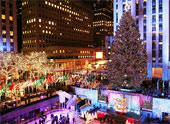 Holiday Lights