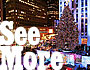 Holiday Guide