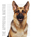 Approval Matrix