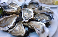 oysters