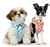 pet accessories