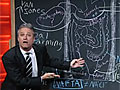 jon stewart
