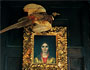 Home Design 2008