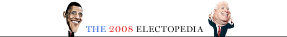 The 2008 Electopedia
