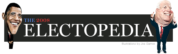 The 2008 Electapedia
