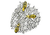 Bee-ology