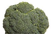 Vegetables