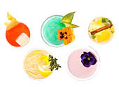Where to Drink 2010