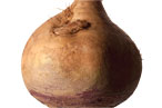 sunchokes