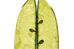 sunchokes