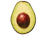 Avocado
