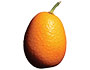 Kumquats