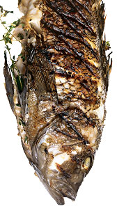 Sea Bass