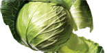 Cabbage