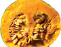Kabocha Squash
