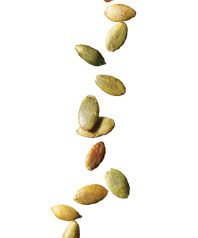 Seeds