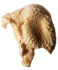 Tripe