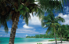 CAYMAN ISLANDS