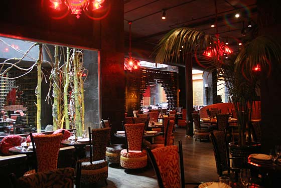 Ajna Bar - New York, NY
