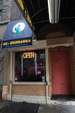 Ah Chihuahua - New York, NY