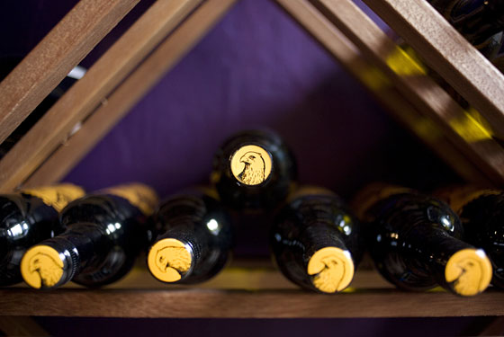 Donna Da Vine - Brooklyn, NY