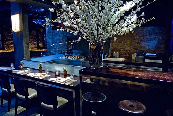 Mercer Kitchen - New York, NY