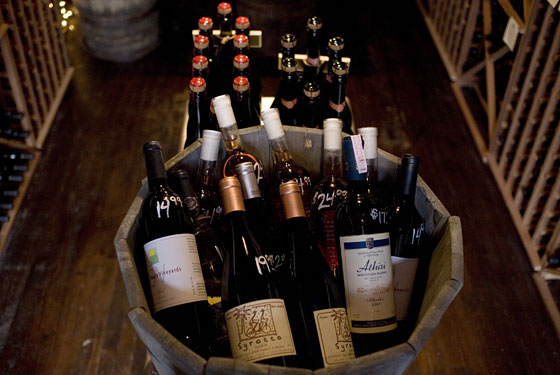 Donna Da Vine - Brooklyn, NY