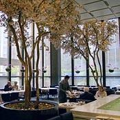 The Four Seasons Restaurant In New York City