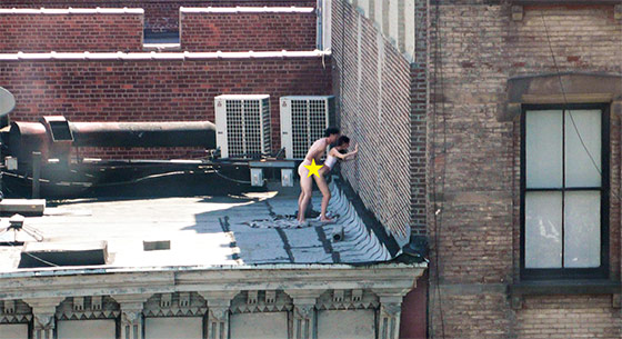 Reasons To Love New York 2012 Outdoor Sex New York Magazine