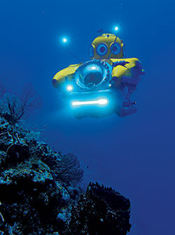 stanley submarine roatan