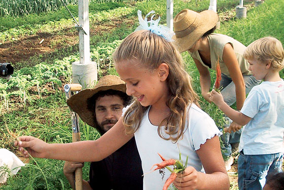 Summer Guide 2007 Whole Foods Generation Flocks To Summer Farms