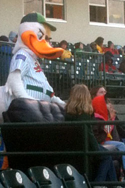 Minor League Stadium Crawl: Lakewood BlueClaws - TV - Vulture