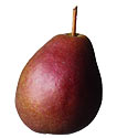 Pears in season in New York.