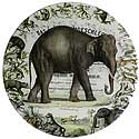 John Derian Elephant Plate.